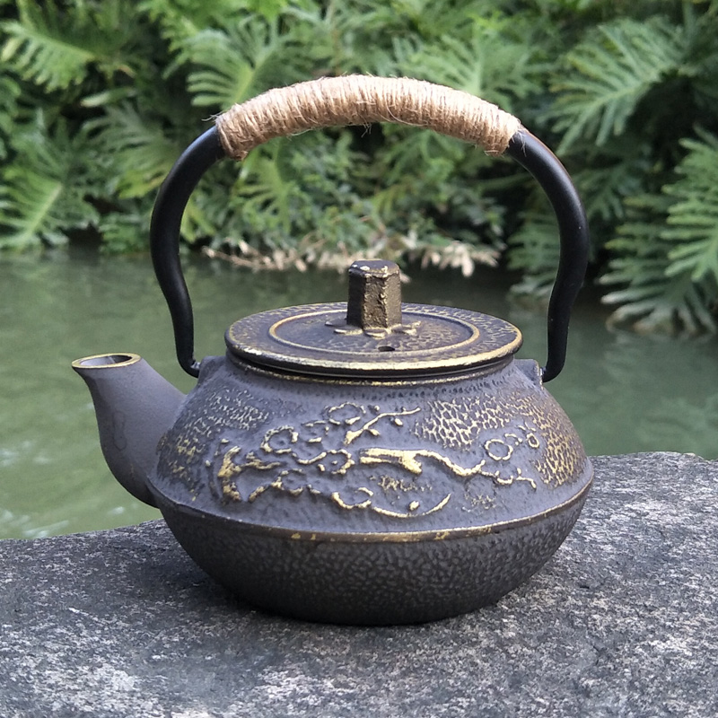 Đúc Sắt Ấm Trà Nhật Bản Tetsub - đánh giá và giá Cast Iron Tetsubin